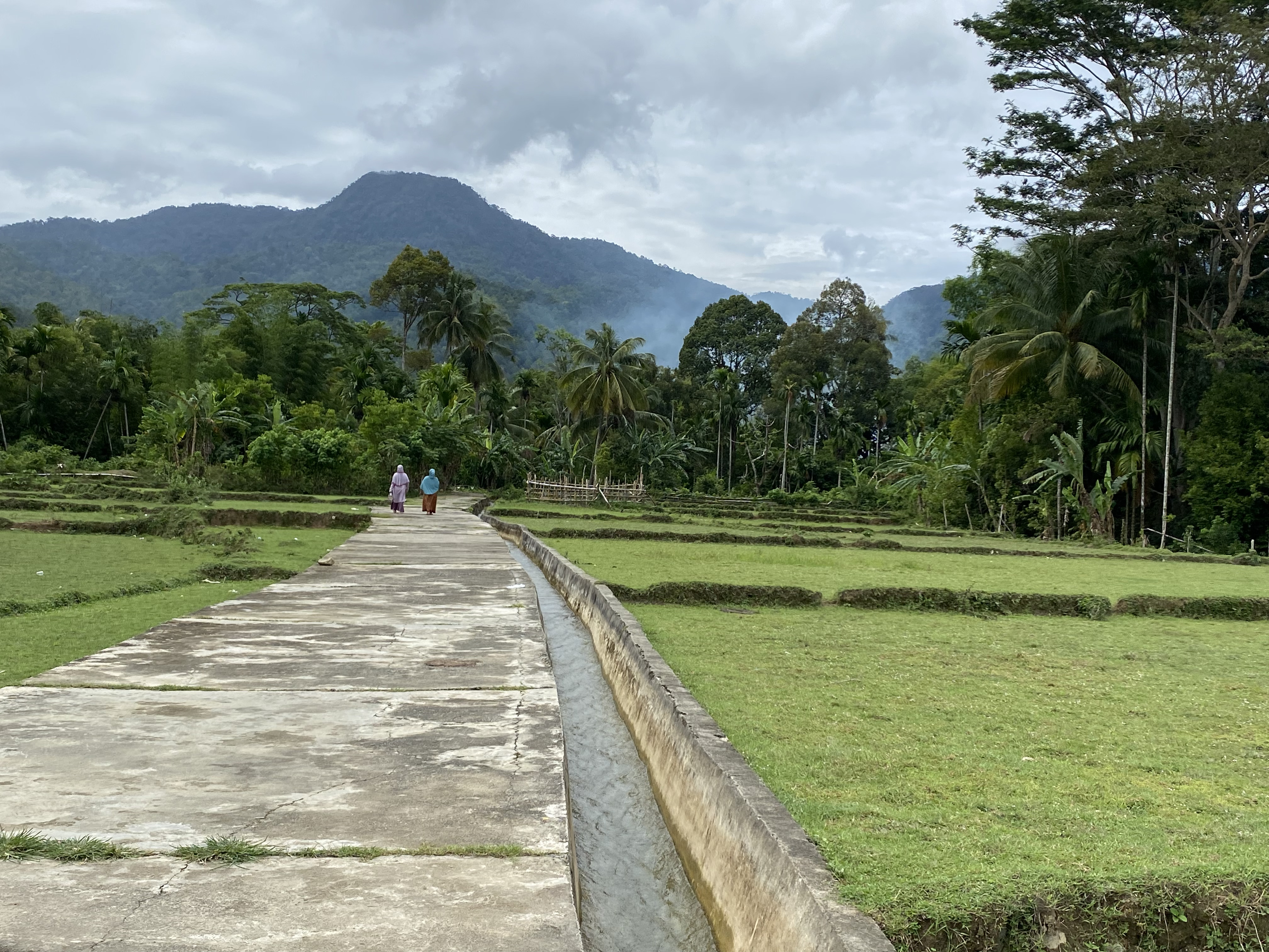 Pemandangan%20sawah%20tempat%20rivan%20bekerja%20dan%20bermain%20saat%20kecil%20di%20Desa%20Ladang%2C%20Samadua%2C%20Aceh%20Selatan%20(1).jpeg