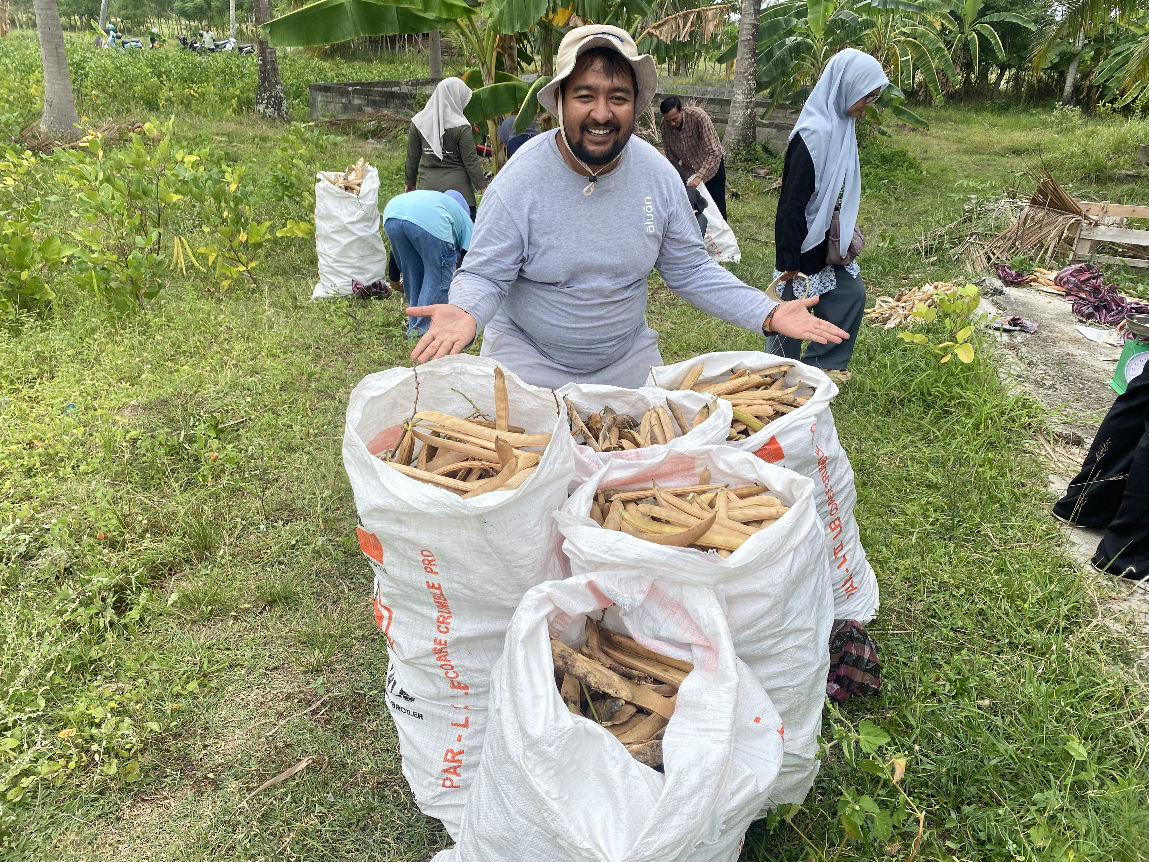 Penen%20perdana%20kacang%20koro%20di%20kebun%20RPA.jpeg