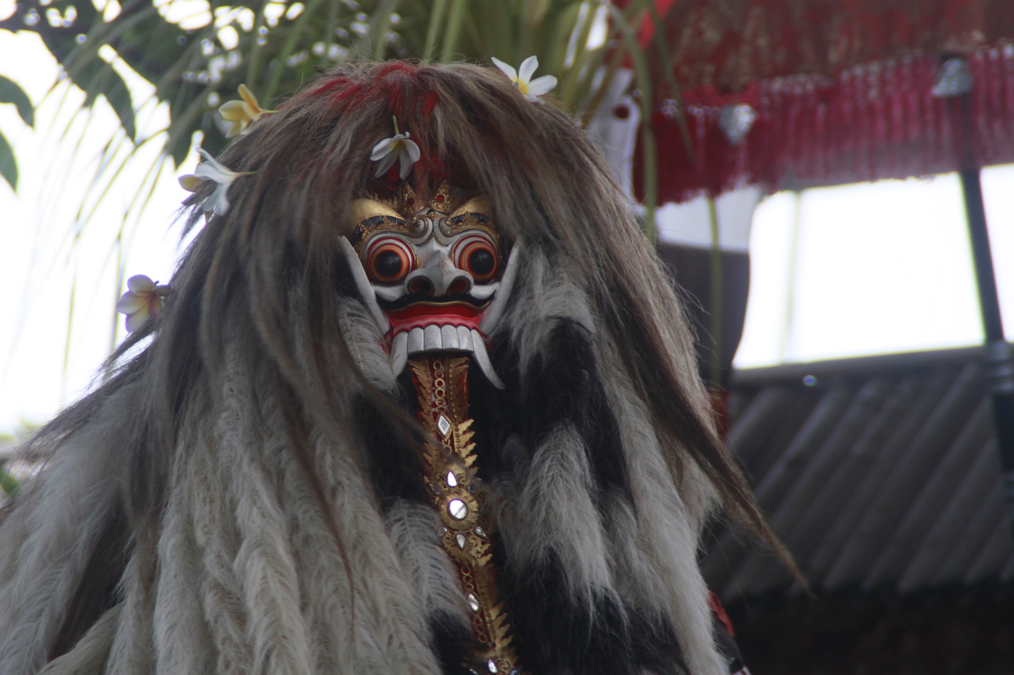 Tari Asli Dari Bali - Media Keuangan